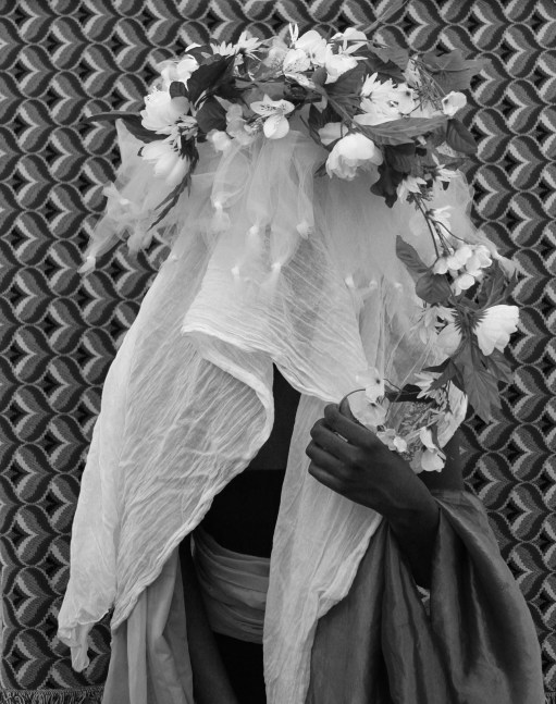 Wall Flower_2016 copy 2.jpg