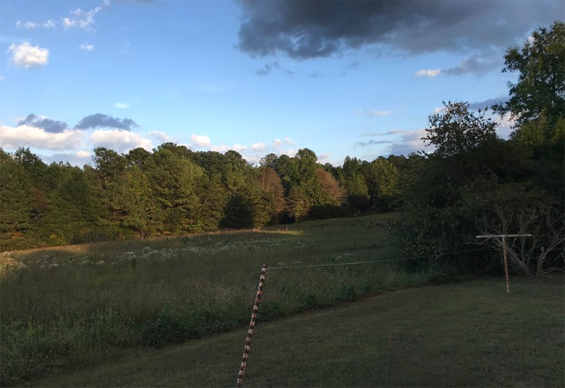 Backyardof ArtistHouse2019 copy 2